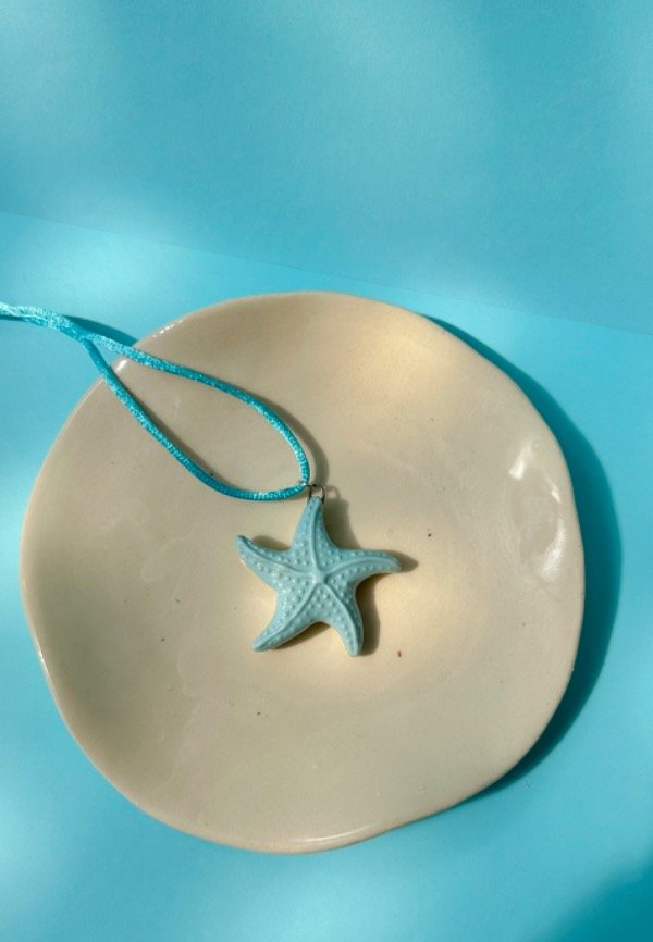 Producto - Estrella de Mar 3D BIFAS Celeste+ Shas y Kiwi