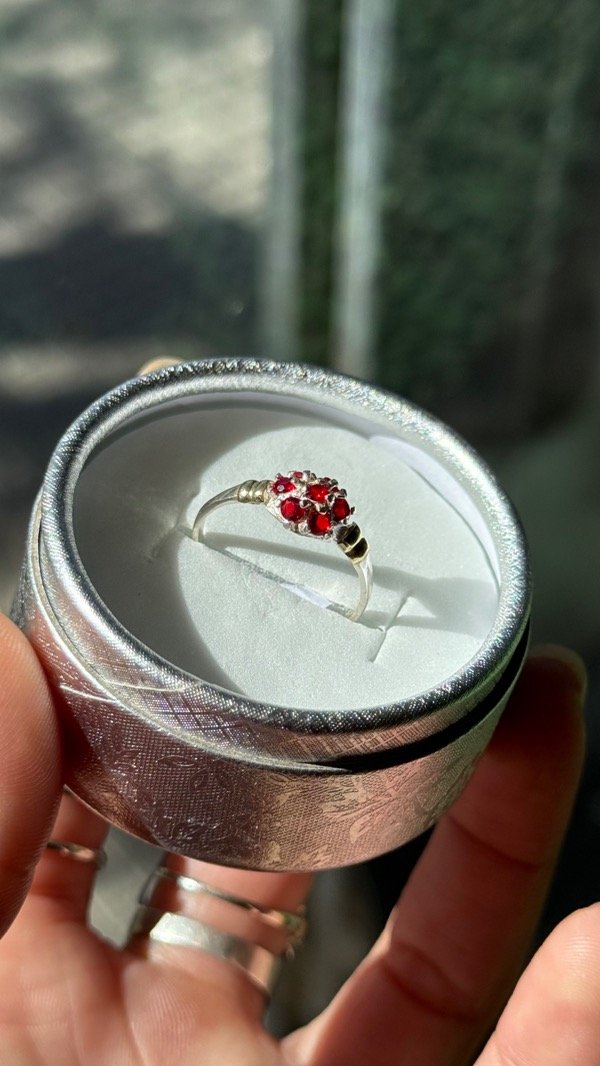 Producto - Fresa Roja