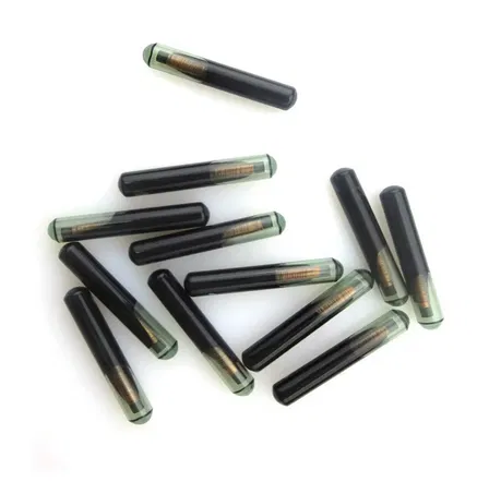 Producto - Chip TP06