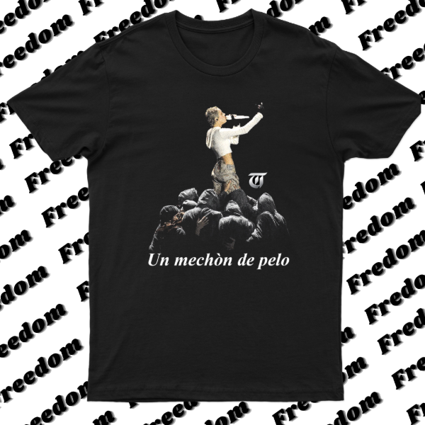 Producto - Remera  un mechón de pelo show