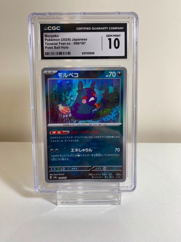 Producto - Morpeko - CGC GEM MINT 10 - Terastal Fest ex
