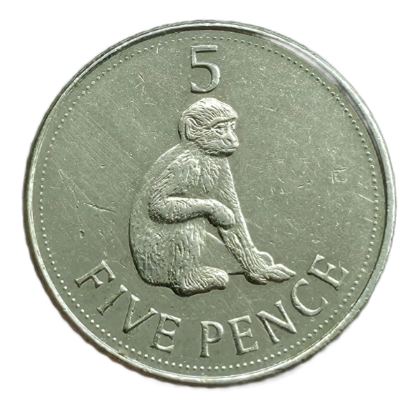 Producto - Gibraltarv5 Pence 2011 Mono de Berberia Km#1207 VF+