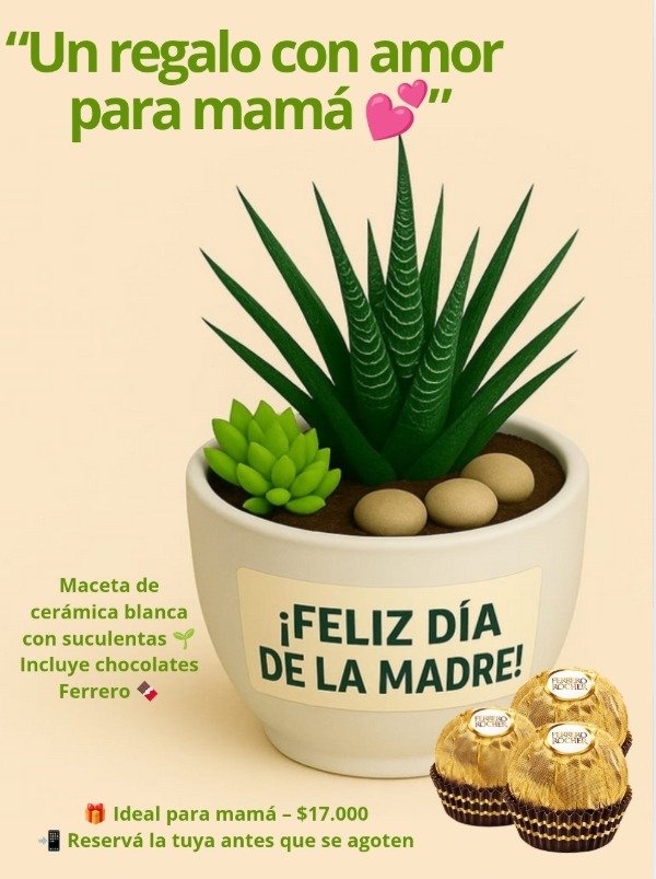 Producto - Maceta Cerámica