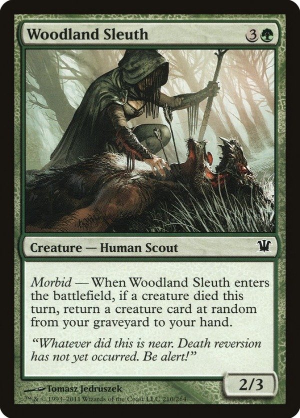 Producto - Woodland Sleuth  Innistrad