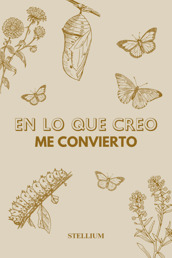 Producto - Creo postal