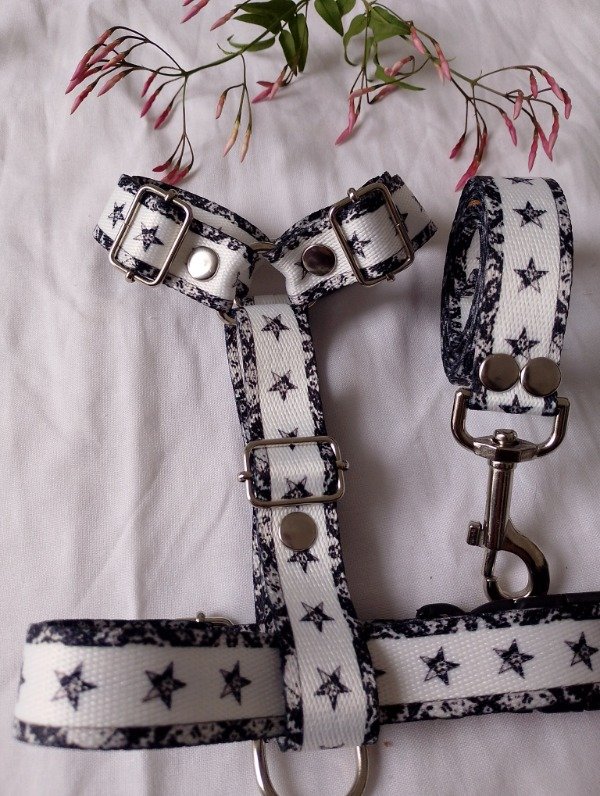 Producto - Conjunto de paseo ASTRA - 5