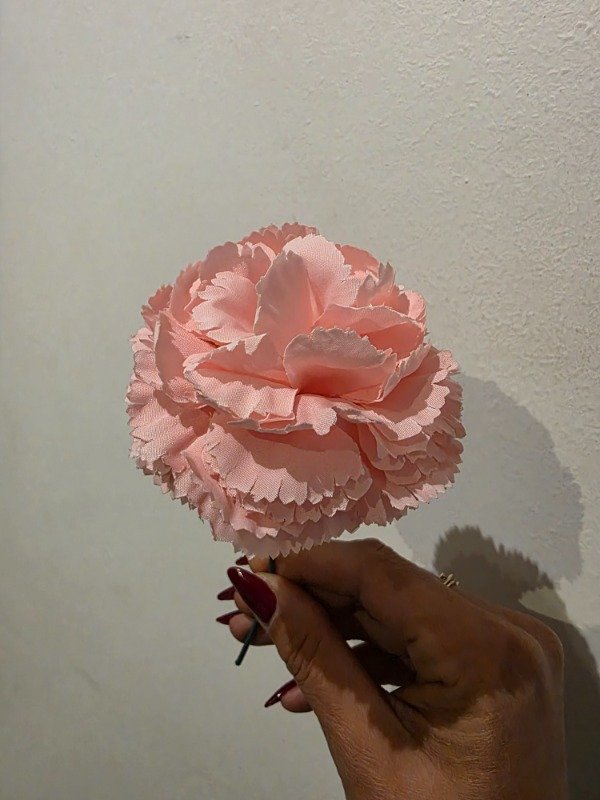 Producto - CLAVEL ROSADO CON CABITO ESPAÑOL