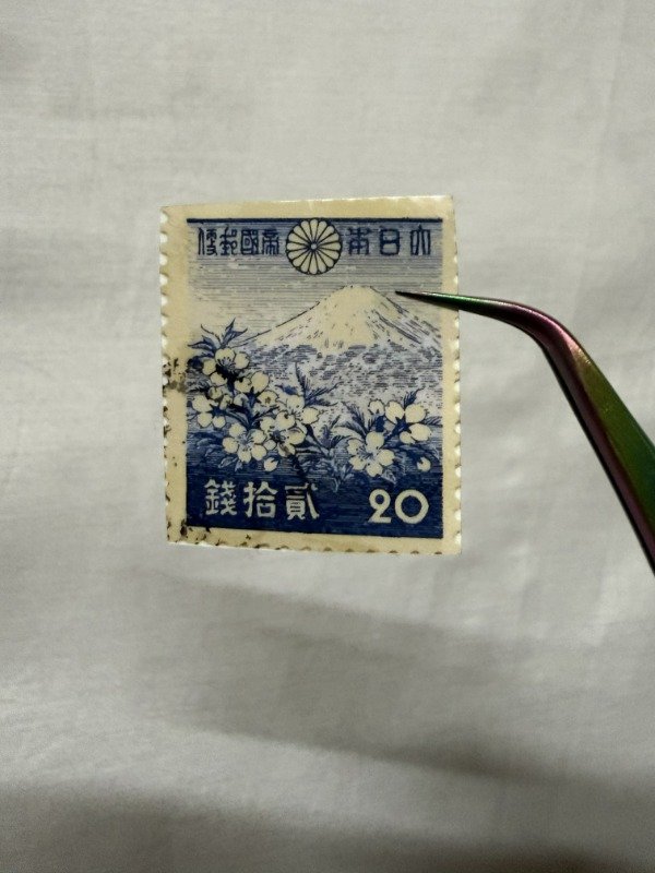 Producto - S212 - Cerezo Japón