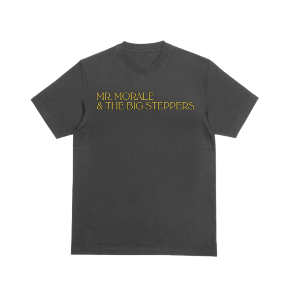 Producto - Remera Kendrick Lamar Mr Morale