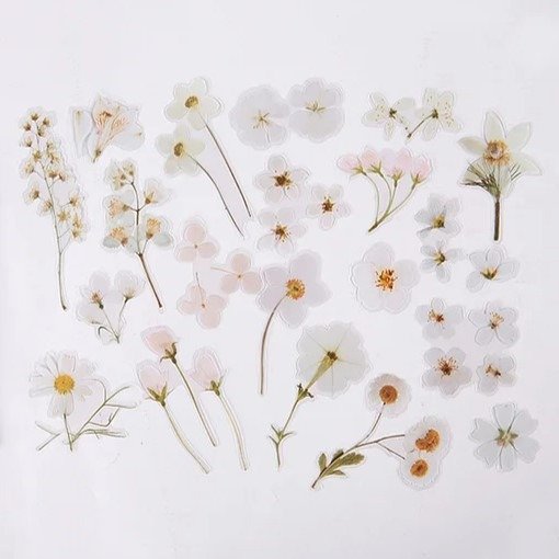 Producto - Stickers PET - Flores Secas Blancas