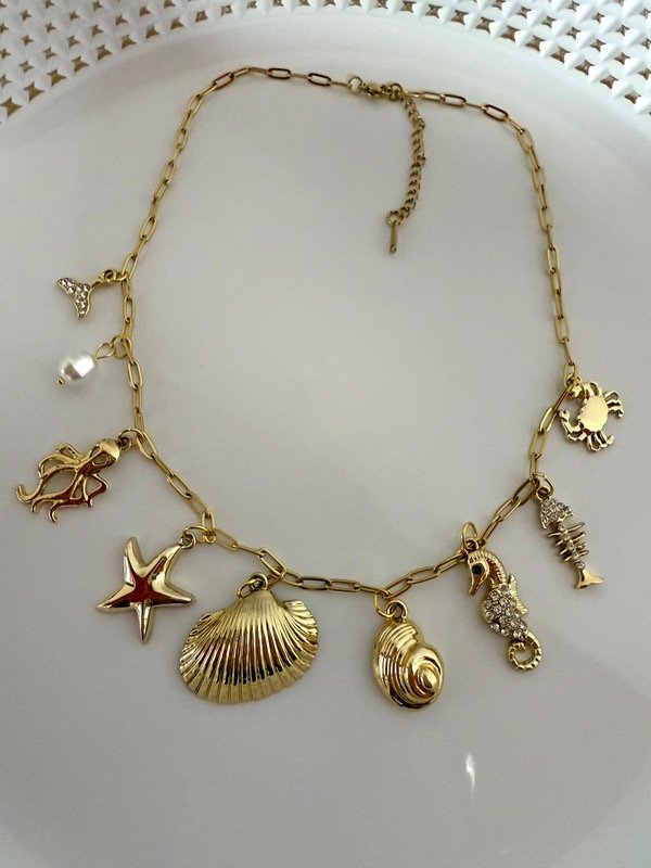 Producto - CD131 Collar multidijes 45 + 5 cm