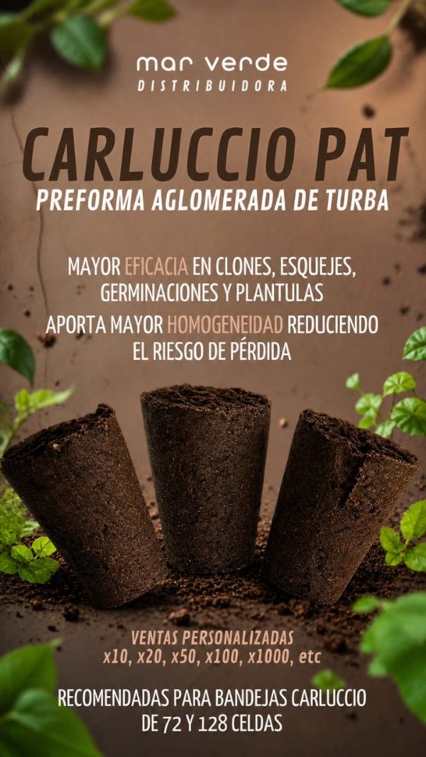 Producto - PAT Preforma Aglomerada de Turba Carluccio