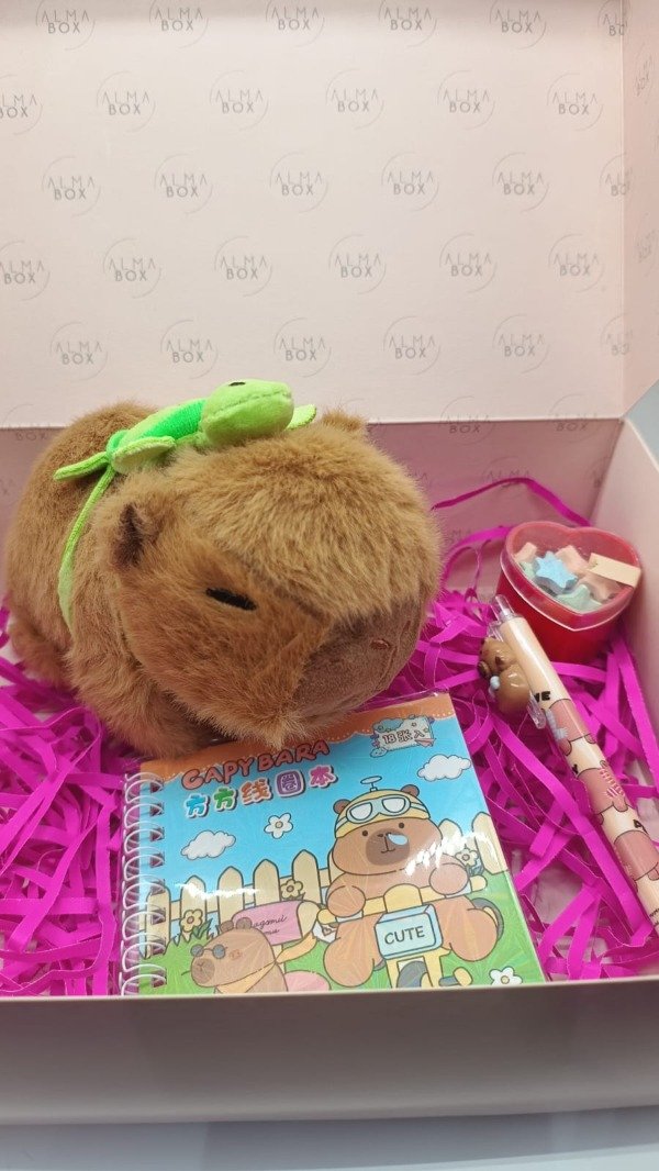 Producto - box día del niño capibara