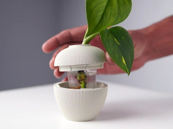 Producto - Maceta hidropónicas modulares - 4