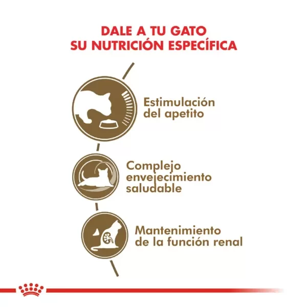 Producto - Alimento Royal Canin Gato Ageing +12 - 2 Kg - 3