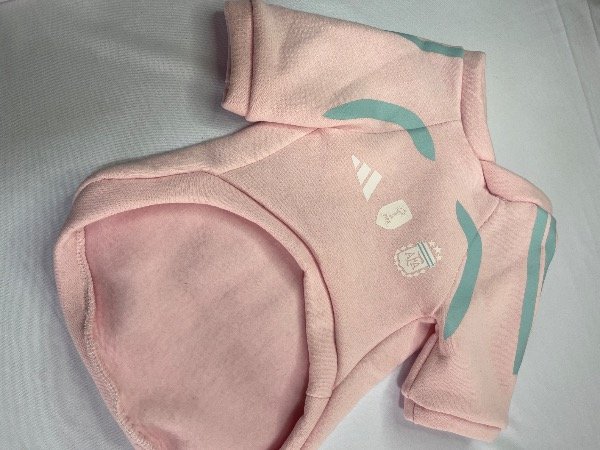 Producto - Buzo Argentina Rosa - 2