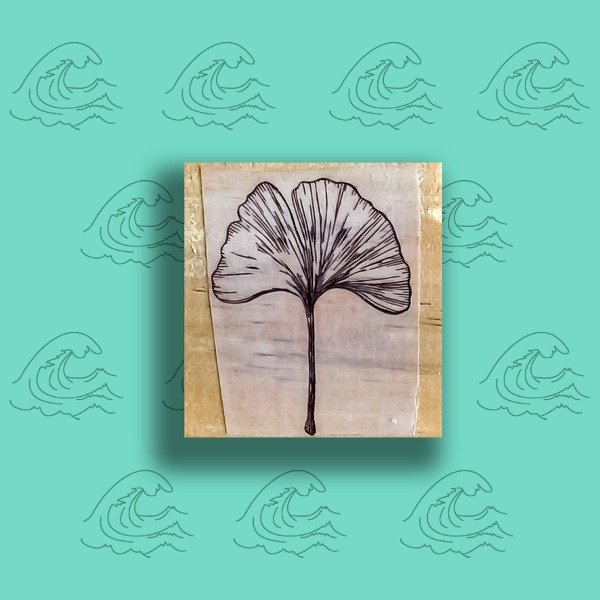 Producto - 4x4 Hoja Ginko