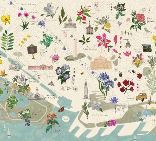 Producto - Flora de Buenos Aires - 1