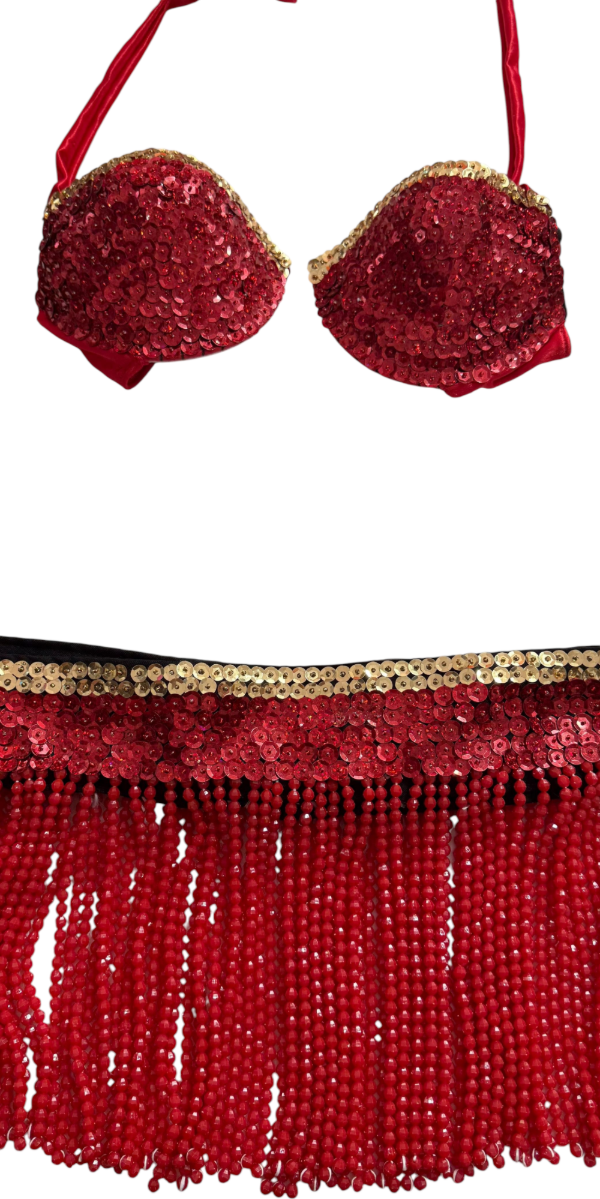 Producto - Disfraz Egresada