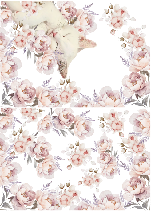 Producto - CATCUTE 3C