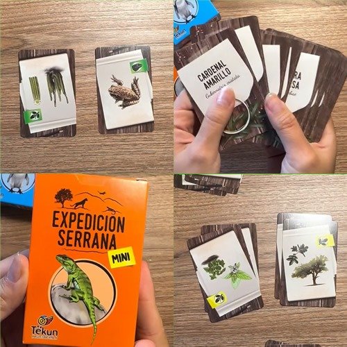 Miniatura de producto - 1