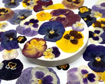 Producto - Pétalos Pensamientos Grandes Comestibles x2