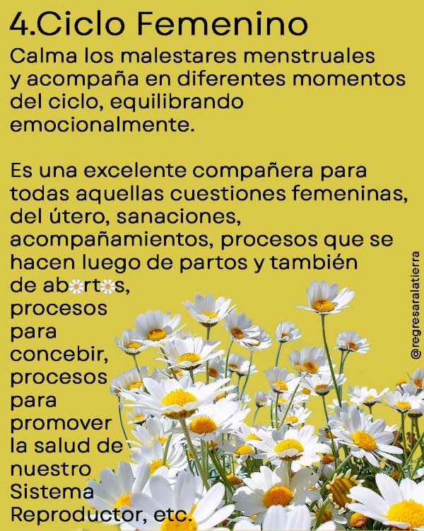 Miniatura de producto - 8