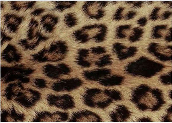 Producto - Lamina comestible rectangular animal print 1