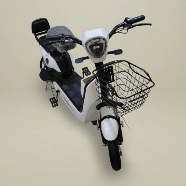 Producto - E-Bike Parma (2025)