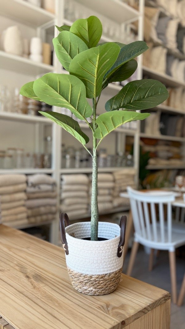 Producto - Cesto Chico