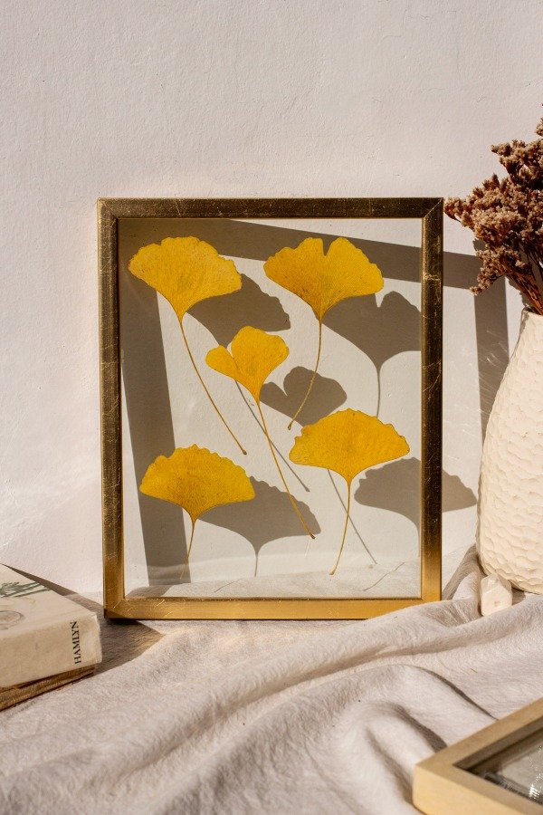 Producto - Ginkgos