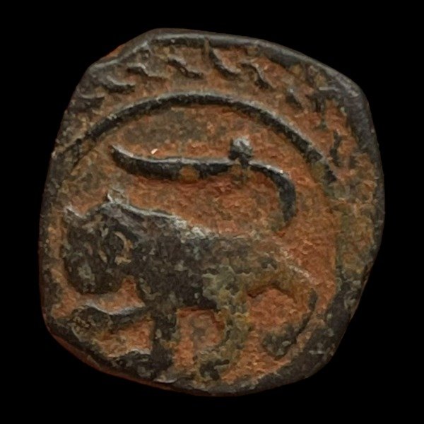 Producto - Dinastía Mameluca. Shaban II (1363 - 1377 DC) Falus. Ceca de Hama