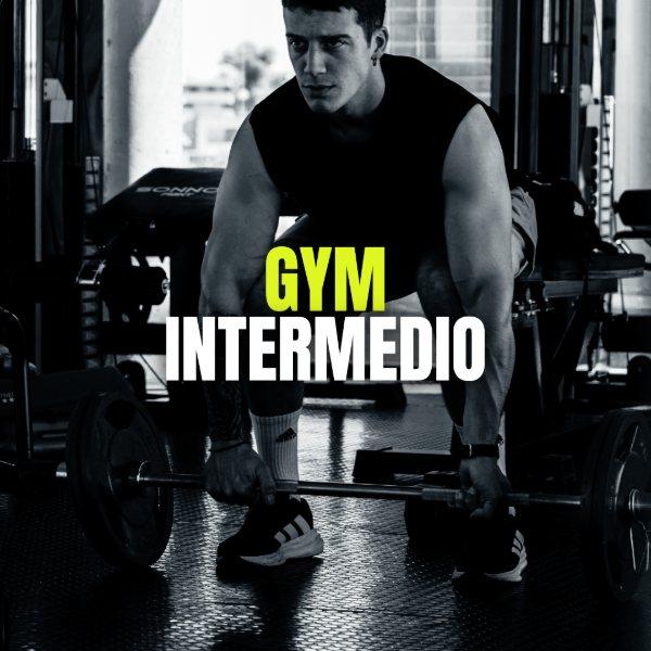 Producto - PLAN ENTRENAMIENTO GYM (INTERMEDIO)