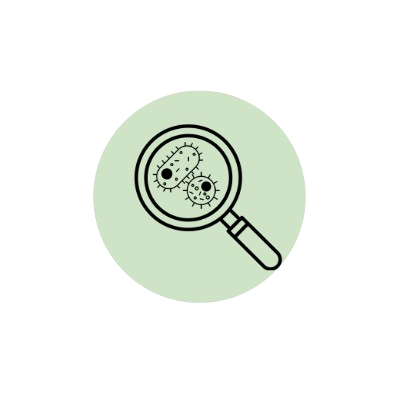 Producto - Análisis Bacteriológico
