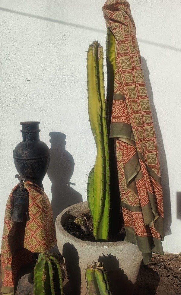 Producto - Pañuelo Raj