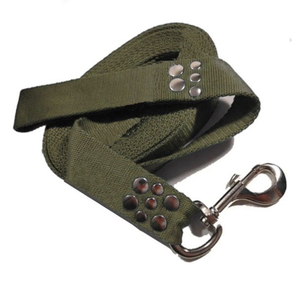 Producto - Correa de perro Strong x 4 cm de ancho con mosquetón de caballo - 4