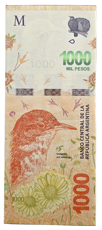 Producto - 1000 Pesos (2022) Hornero / Error "Girasol Grande" Bott.6040a VF+/-XF