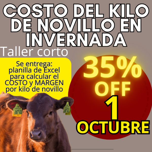 Producto - Taller corto: cálculo del costo del kilo de novillo - 0