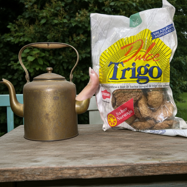 Producto - GALLETITAS NUTRESAN  DE TRIGO SABOR NARANJA SIN AZUCAR