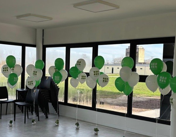 Producto - 100 Globos Personalizados con Logo + Helio - 4