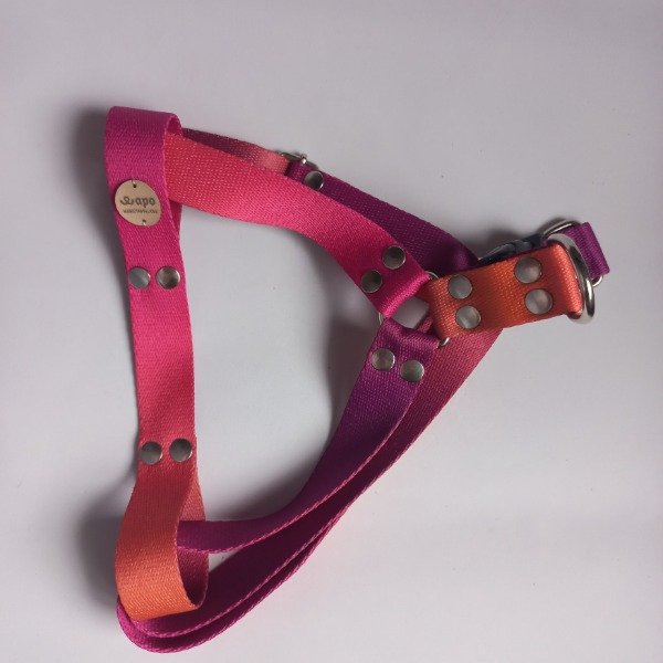 Producto - Pretal C AURORA