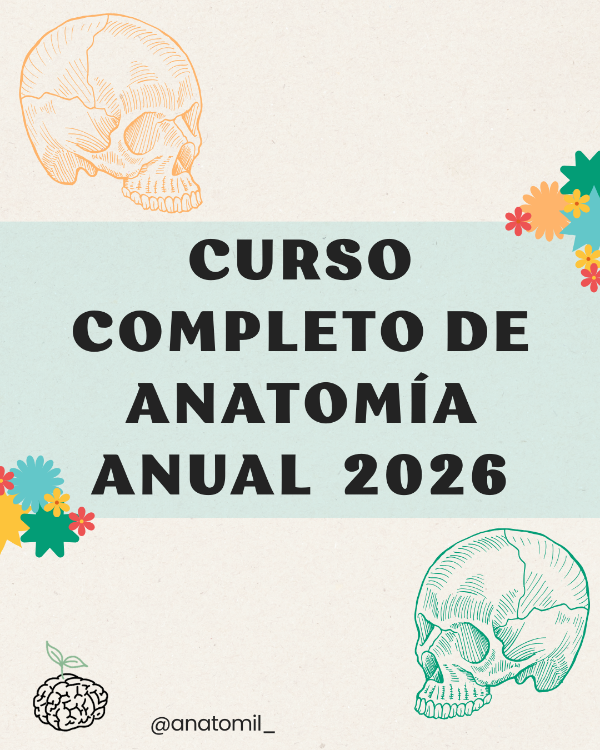 Producto - CURSO COMPLETO ANUAL ANATOMÍA 2026