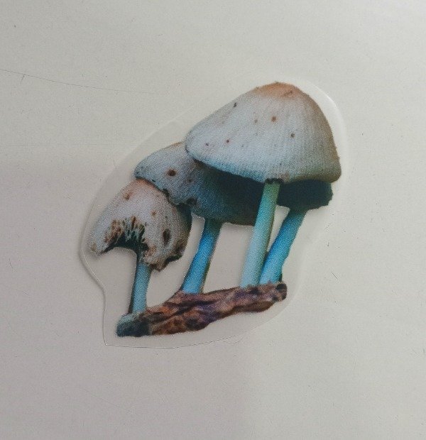 Producto - Aplique Termoadhesivo Honguitos