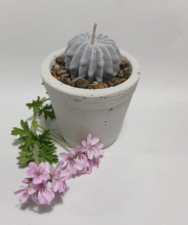 Producto - Vela Natural repelente de mosquitos