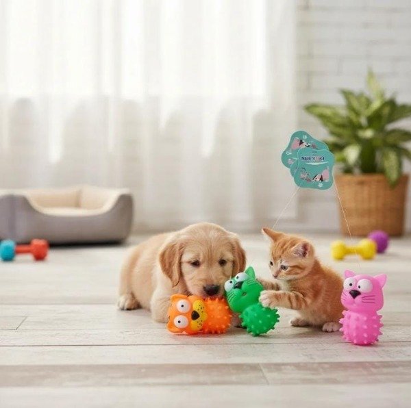 Producto - Chifle Sonoro Juguete Forma/ Perro Gato Para Mascotas#29905