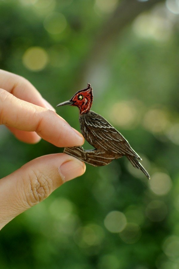 Producto - Carpintero gigante