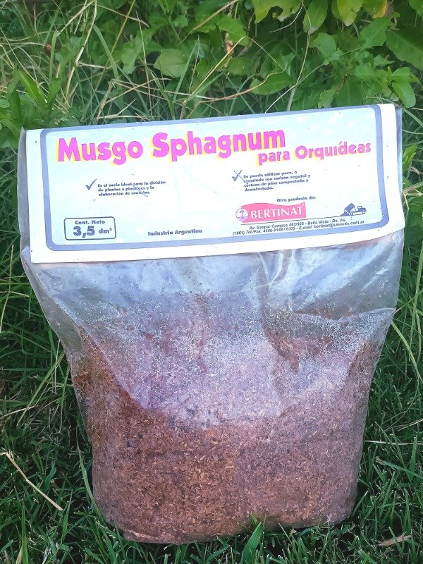 Producto - Musgo Sphagnum Para Orquídeas