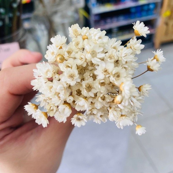 Miniatura de producto - 7