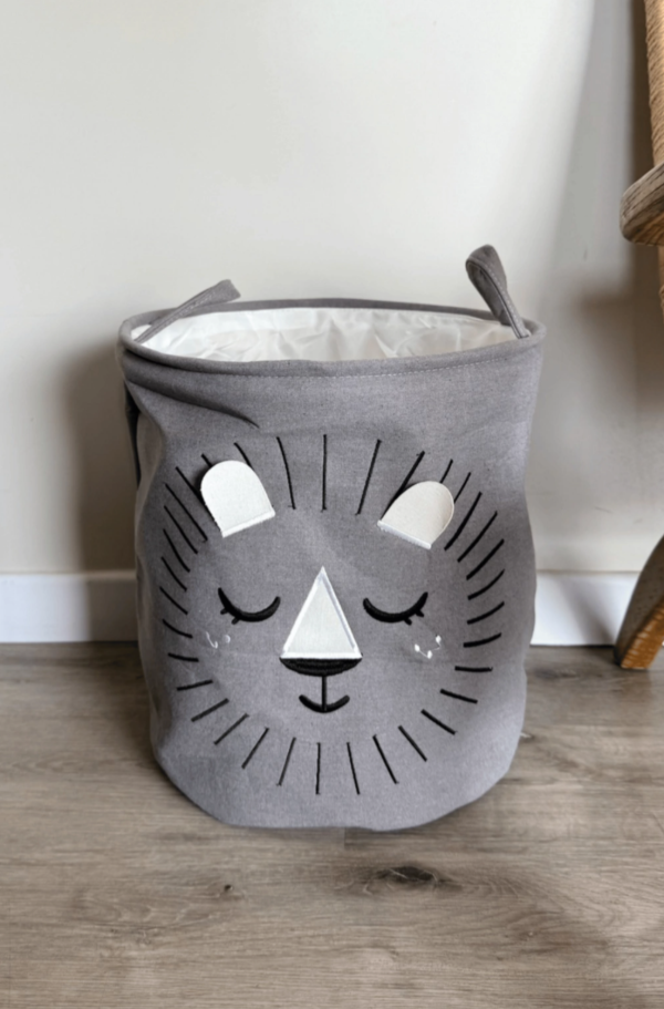 Producto - Canasto Leon