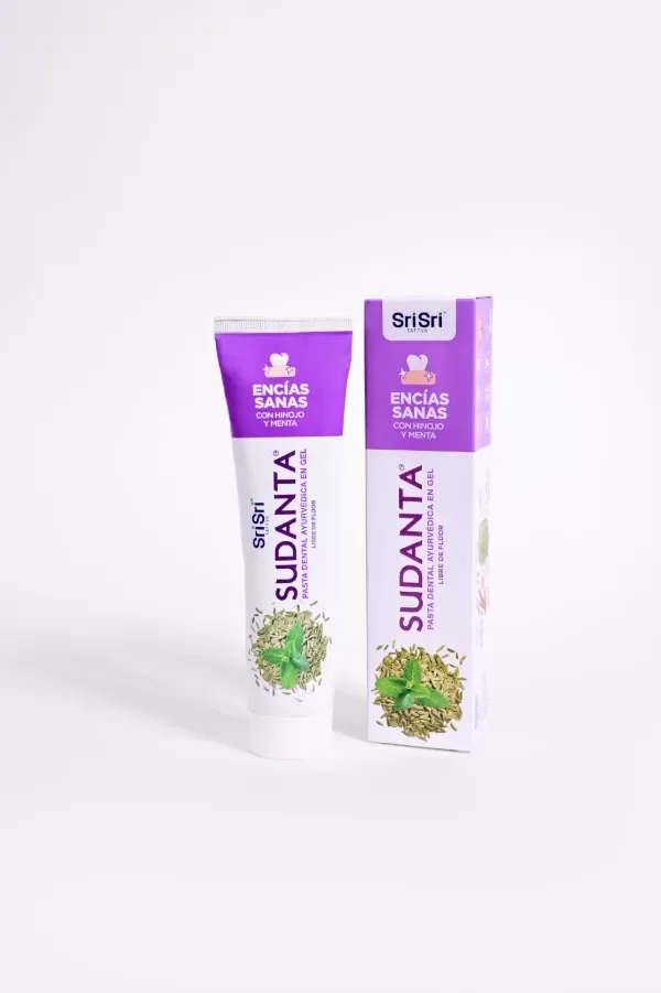 Producto - Pasta dental encías sanas en gel 50gr - 1